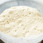 опара для хлеба бига