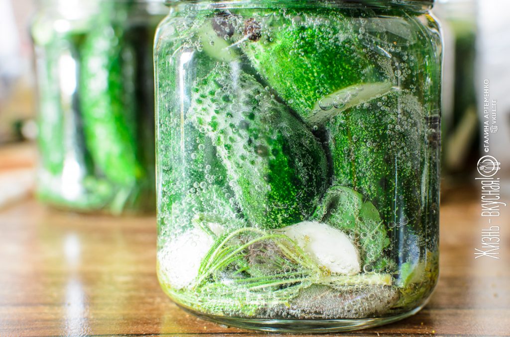 рецепт малосольных огурцов хрустящих