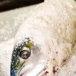 рыба в соли рецепт