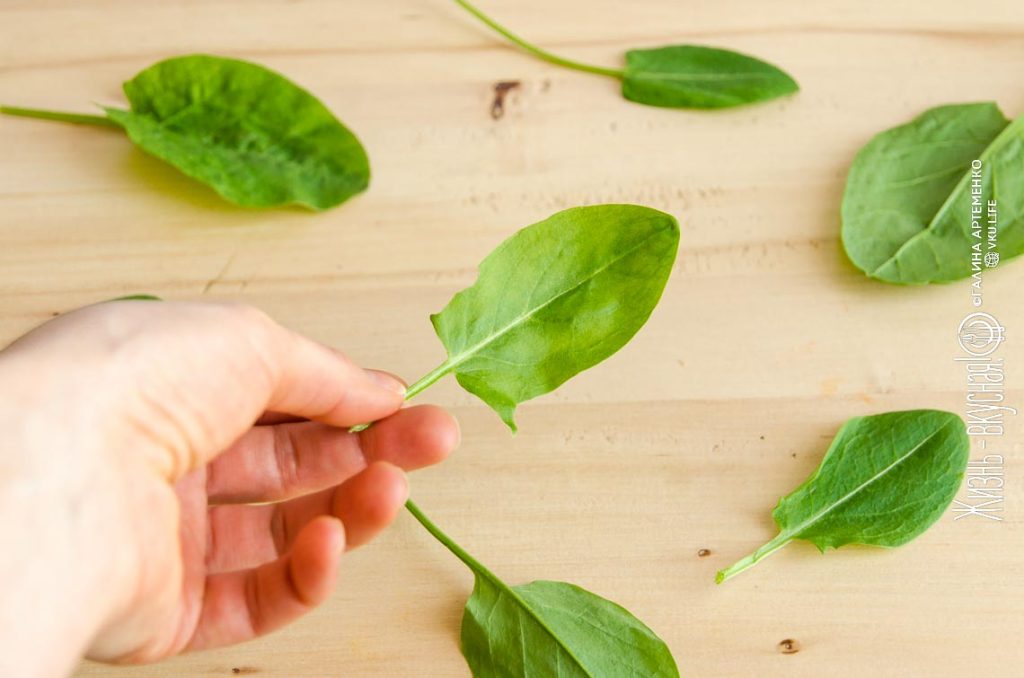 зеленый борщ с щавелем и яйцом