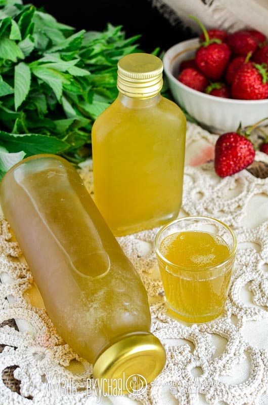 мятный сироп рецепт