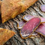 бастурма из говядины