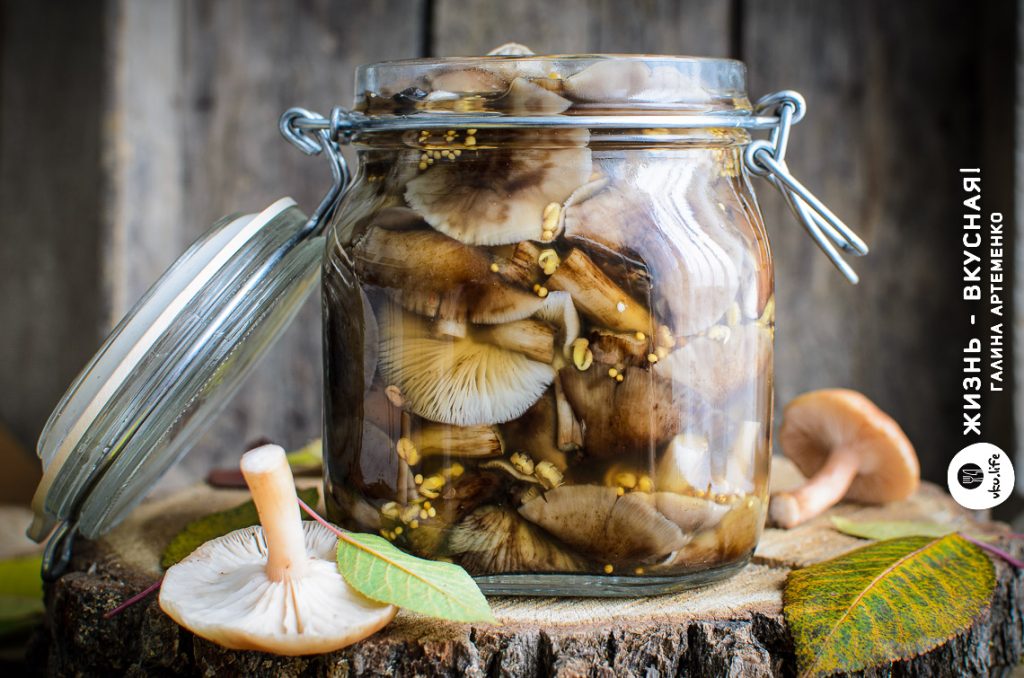 рецепт маринованных грибов опят
